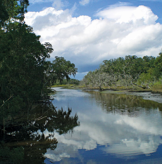 Cumberland Island National Seashore - Tidal creeks winding through salt marsh sloughs provide a highway for alligators to access hunting grounds and, twice a day, a rich feeding ground for egrets, ibises and herons. Photo By Barbara Cohea